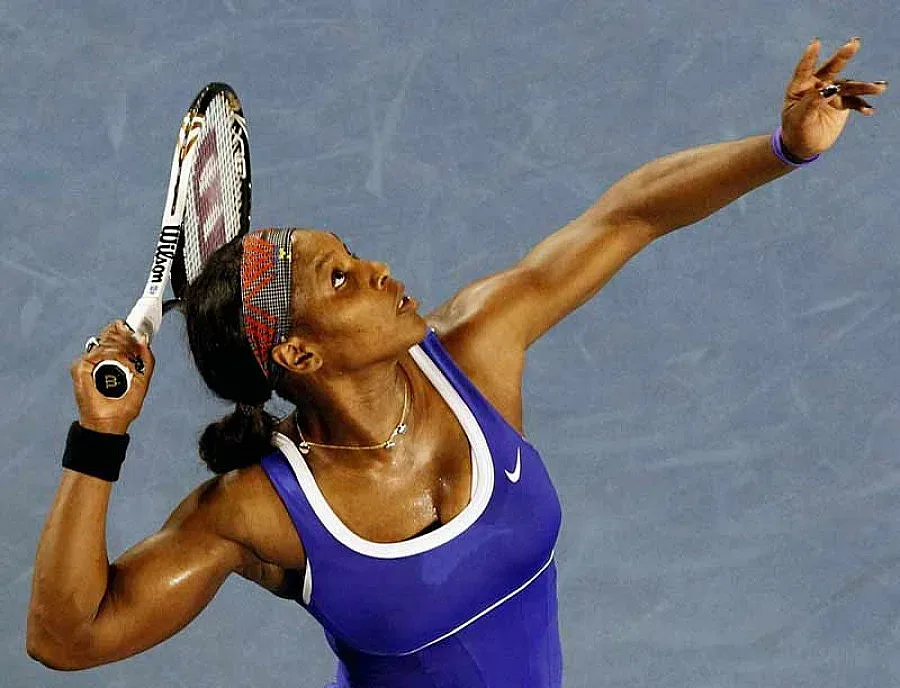 Буболечки налазиха Серена Уилямс