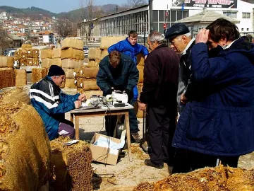 Изкупуват последните количества тютюн      