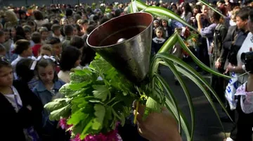 Погват кметства и школа за училищни пари