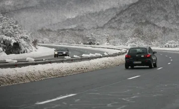 Археолози запретват ръкави с 350 бона от Бойко