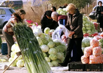 Градинари бутат оранжерии