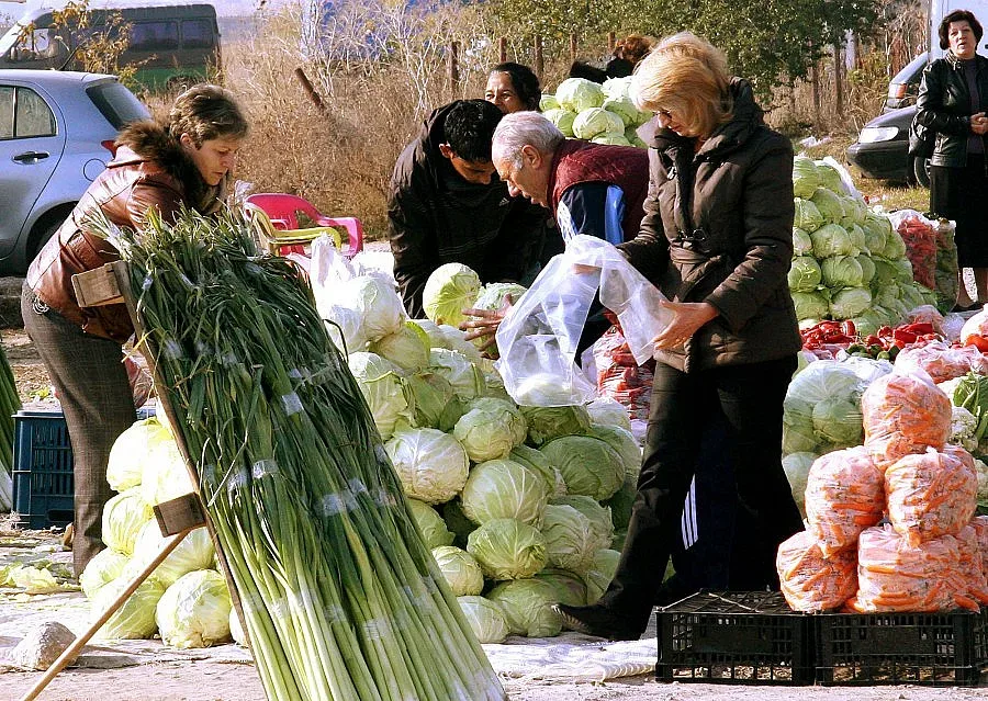 Градинари бутат оранжерии