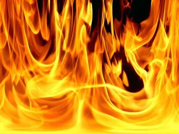 Арестуван си призна за палеж на бус