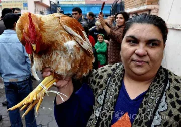 Ромите празнуват три дни Банго Васили 