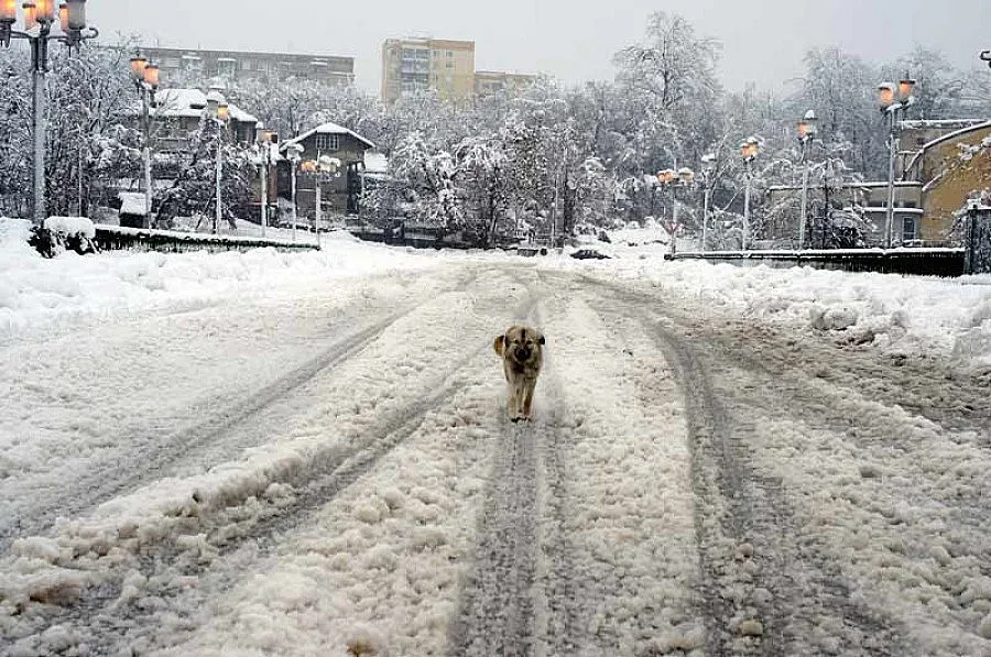 35 училища са в дървена ваканция
