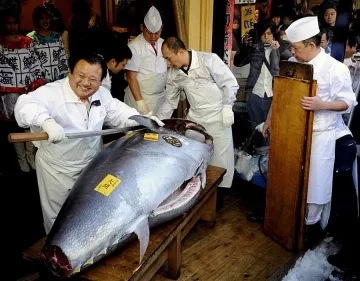 Японец плати $ 750 000 за риба