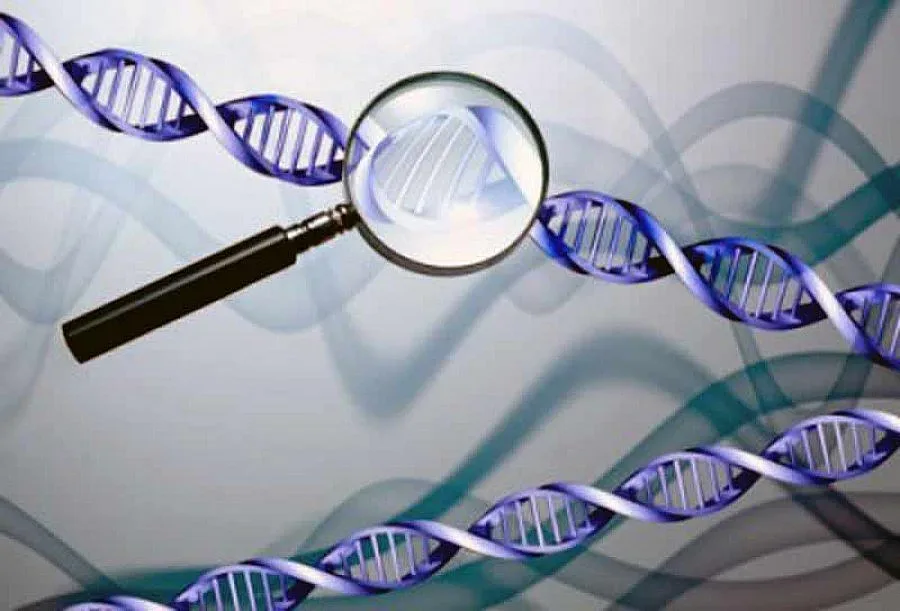 Холандия ни изследва за престъпни гени