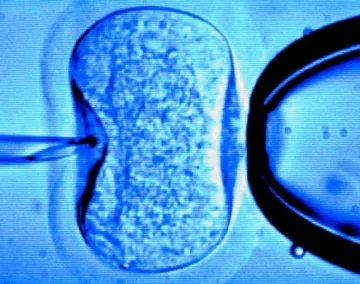 Синодът се объркал - не бил срещу ин витрото