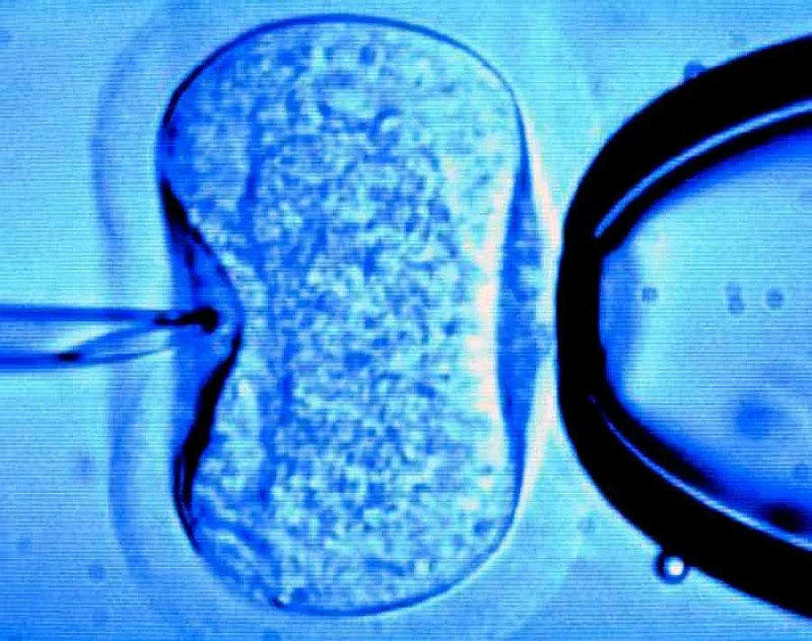 Синодът се объркал - не бил срещу ин витрото