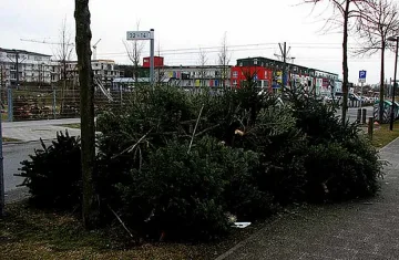 Обитатели на зоопарк замезват с коледни елхи