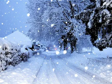 През януари камък ще се пука - от минус 15 до плюс 15