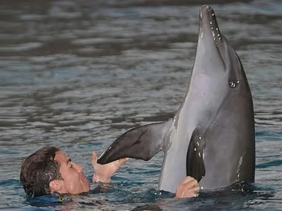 Роналдо се плицика с делфини