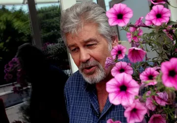 Стефановци замезват със зеле