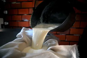 Канцерогенно мляко засякоха в Китай