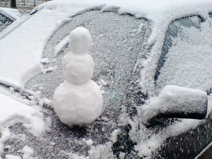 Сняг и студ сковаха страната