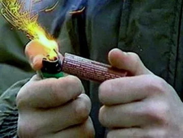 Иззеха половин милион опасни пиратки 