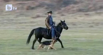 Свиха кобилата на каубоя от "Овча купел"