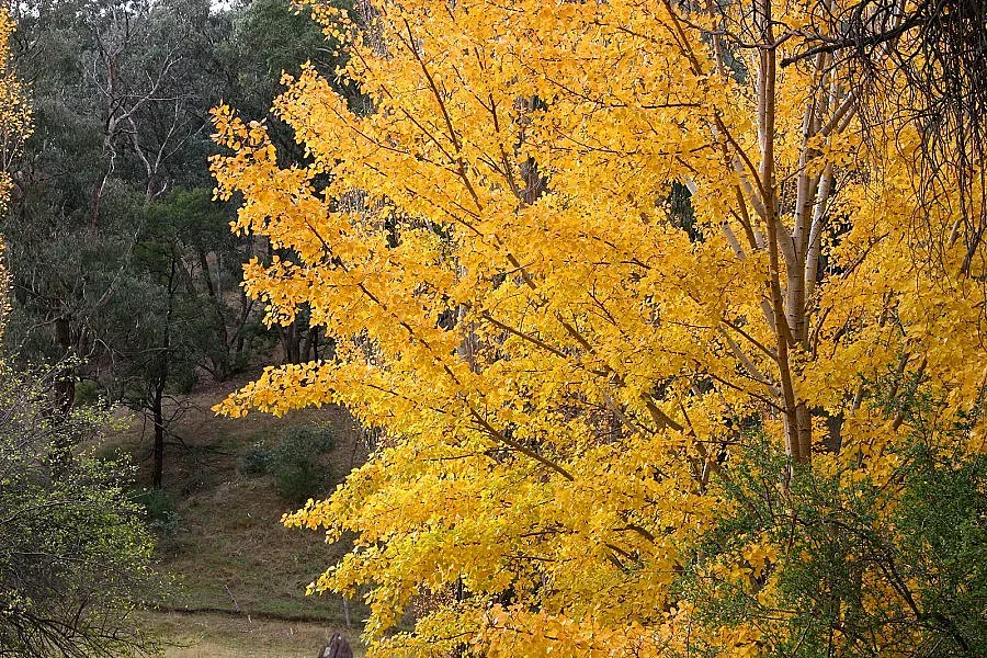 Паднаха два температурни рекорда