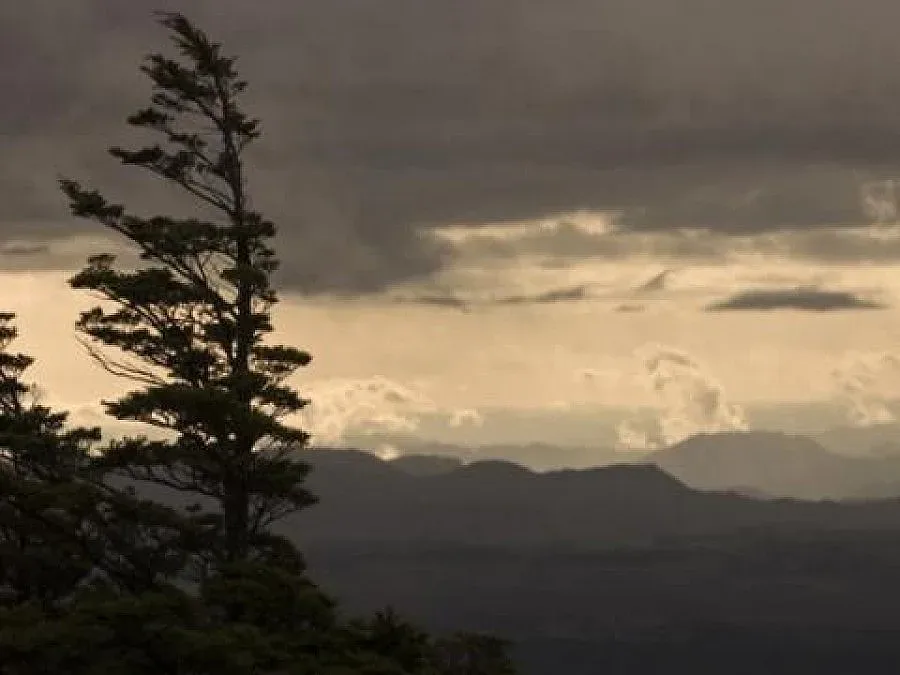 Вятър и дъжд. Тотална промяна с времето през новата седмица