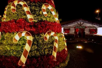 Европа се стяга за скромна Коледа