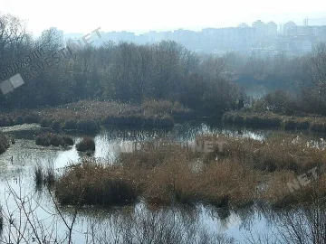 Пак воден ад у нас. Изумителен случай 