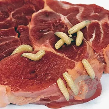 Ресторант в София сервира месо с червеи и косми