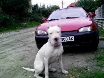 Доброволни отряди пазят колите