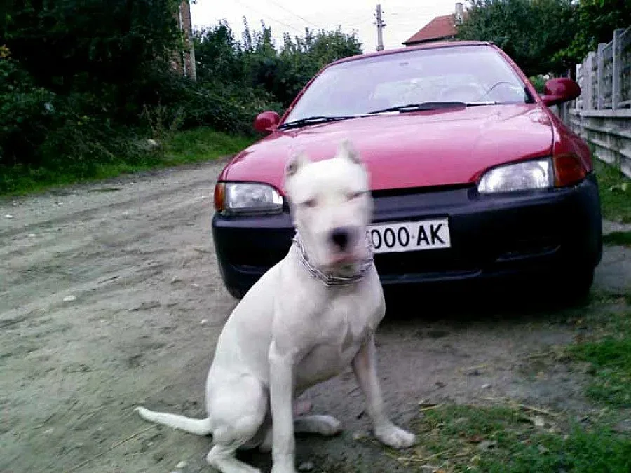 Доброволни отряди пазят колите