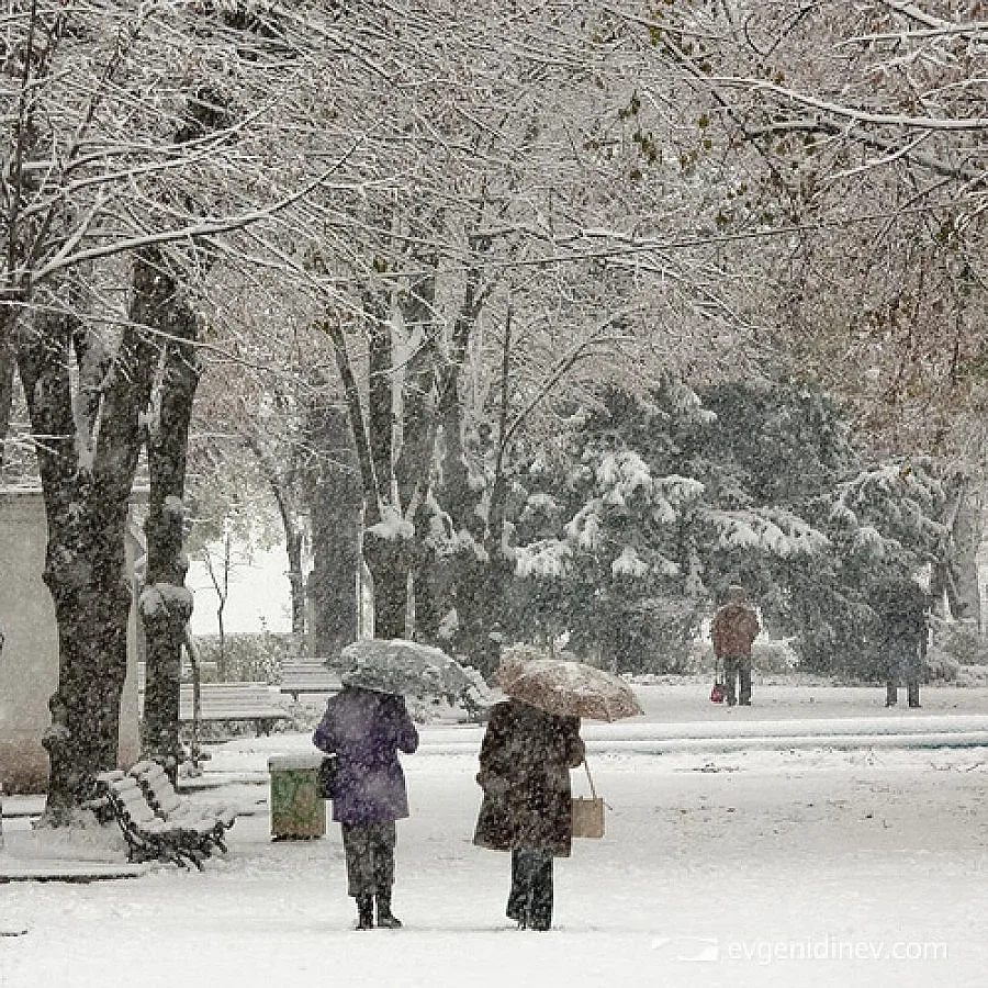 Снегът идва от събота и трупа до ЧНГ