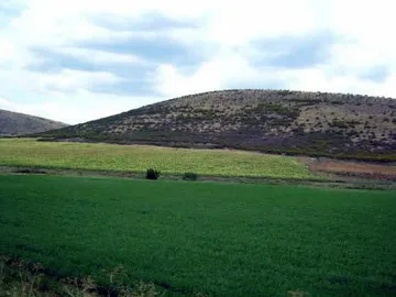 Инвестициите в ниви по-добри от влог