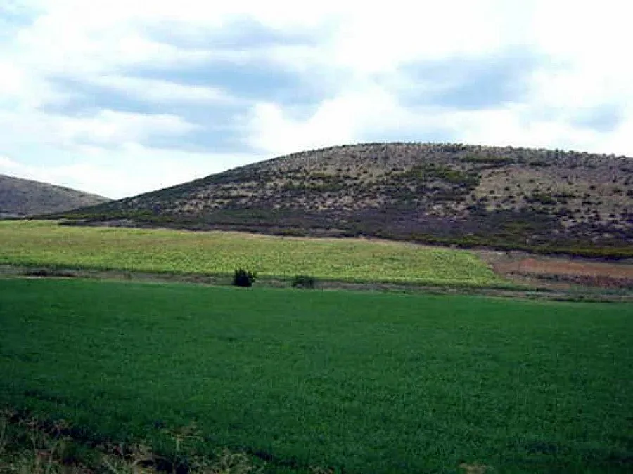 Инвестициите в ниви по-добри от влог