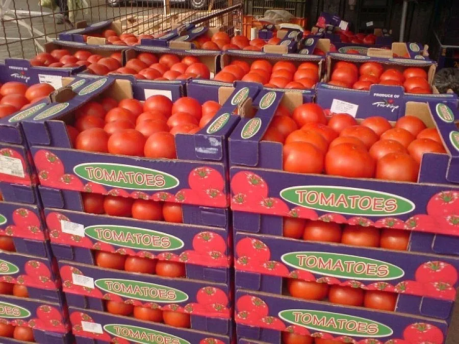 Борси опустяват заради изискването за регистрация