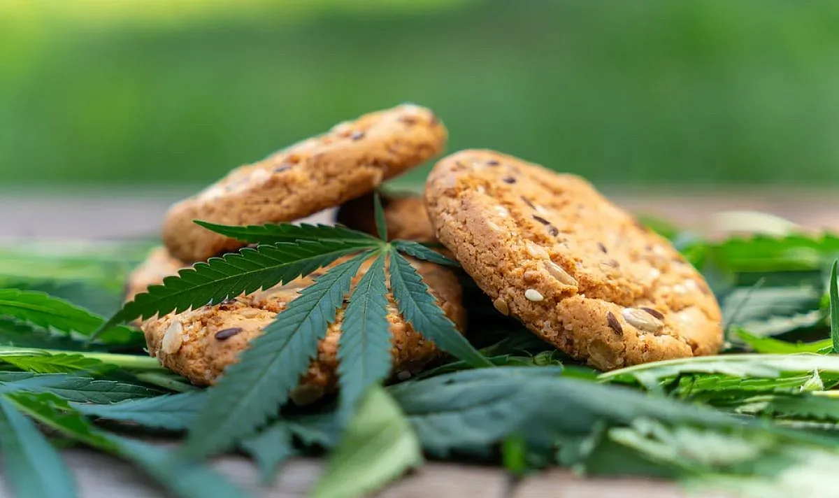 Кошмар в Плевен! 6 деца в болница след бисквити с канабис