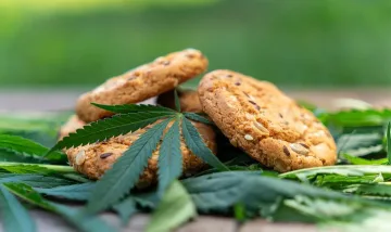 Кошмар в Плевен! 6 деца в болница след бисквити с канабис