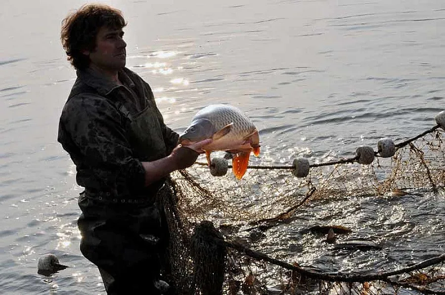 Прясната риба по-евтина за Никулден