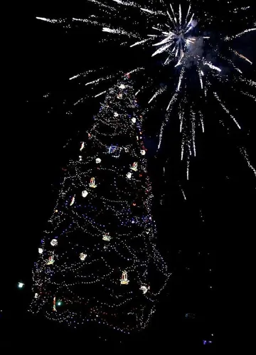 Грейна Коледната елха в София