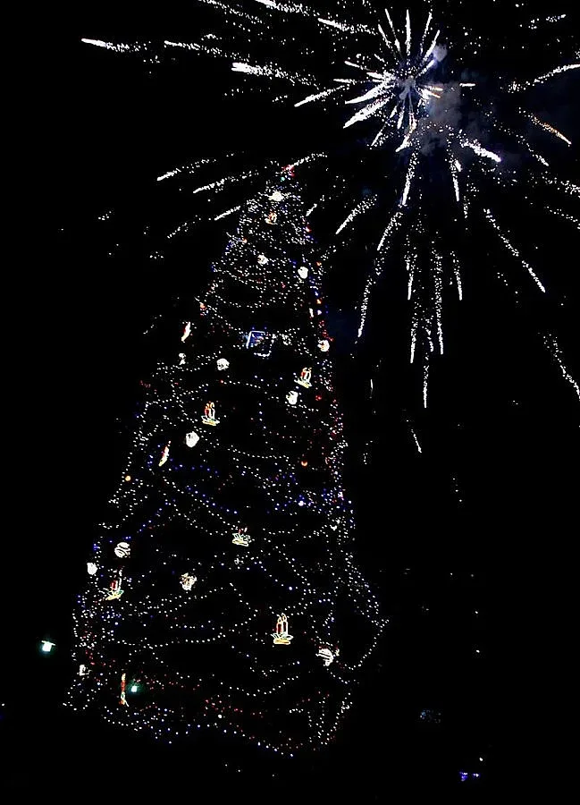 Грейна Коледната елха в София