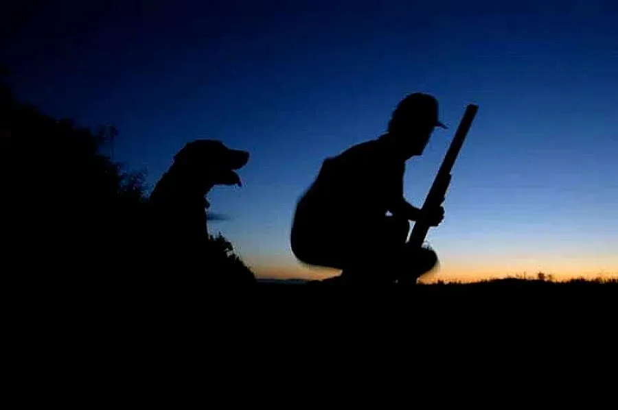 Куче гръмна авджия при лов на патици 