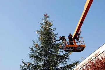Вече украсяват елхата на Благоевград