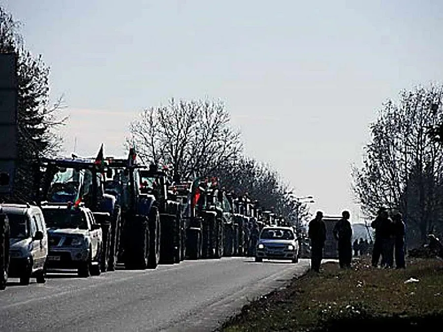 Учител припадна в блокадата на Дунав мост