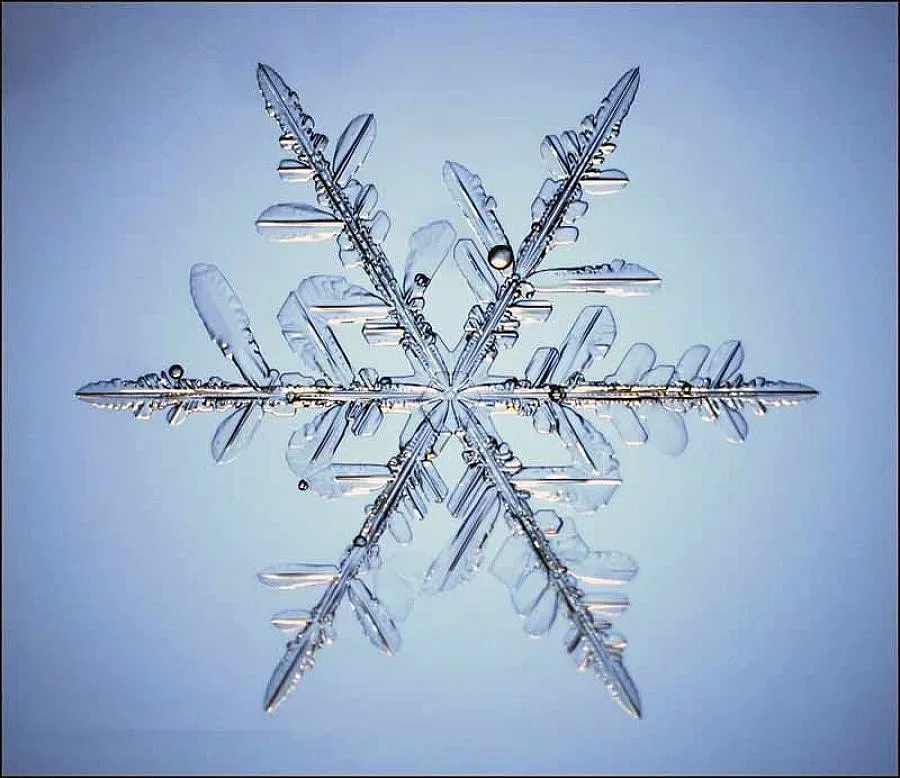 Баровци плащат 10 хил. евро за сняг от Алпите