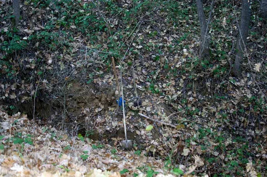 Психолог и студент убили с чук приятел