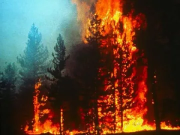 Два горски пожара вдигнаха на крак огнеборците