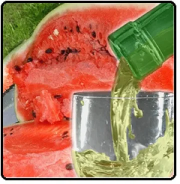 Ракия от диня в подкрепа на млади таланти