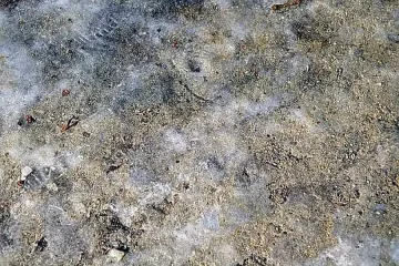 Мият пътищата от пясъка напролет