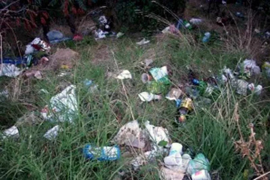 50 лева глоба за боклук в парка