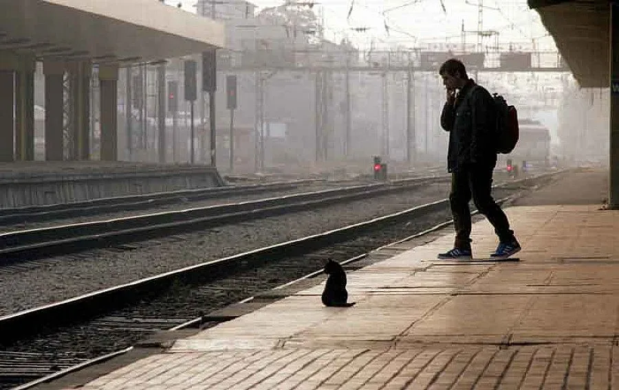 Влаковете спират на първата гара от 24 ноември