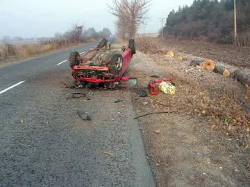 Жена едва не се уби заради лисица