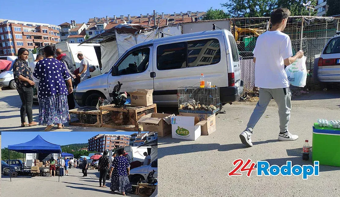 Пиленца по левче на птичия пазар в Кърджали. Ето по колко върви петелът