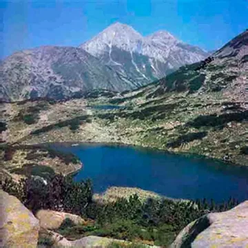 7 проекта за 53 бона чистят Пиринско